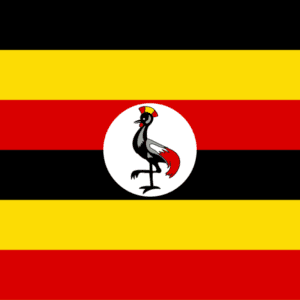 east Africa and Uganda E visit visa