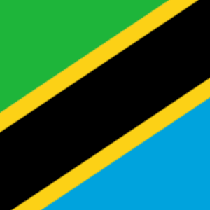 evisa Tanzania flag